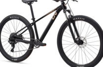 Giant Tempt 29 4 M Black