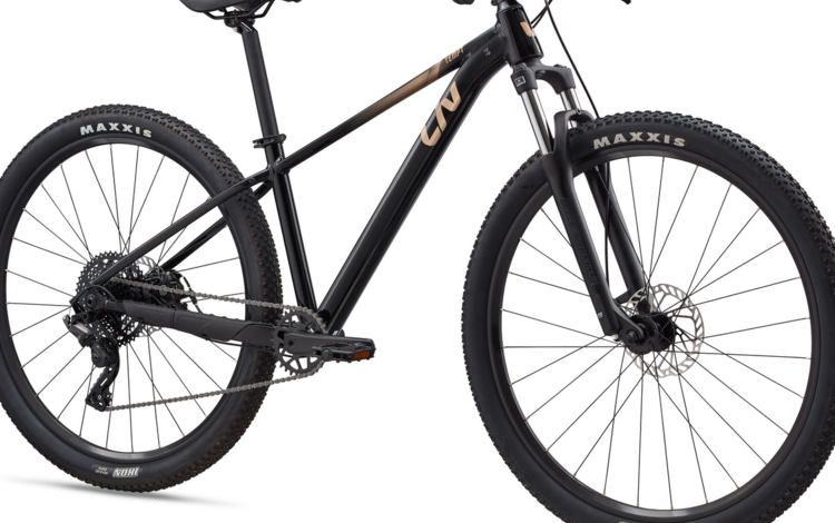 Giant Tempt 29 4 M Black