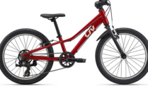 Liv Tempt 20 Lite One Size Dried Chilli