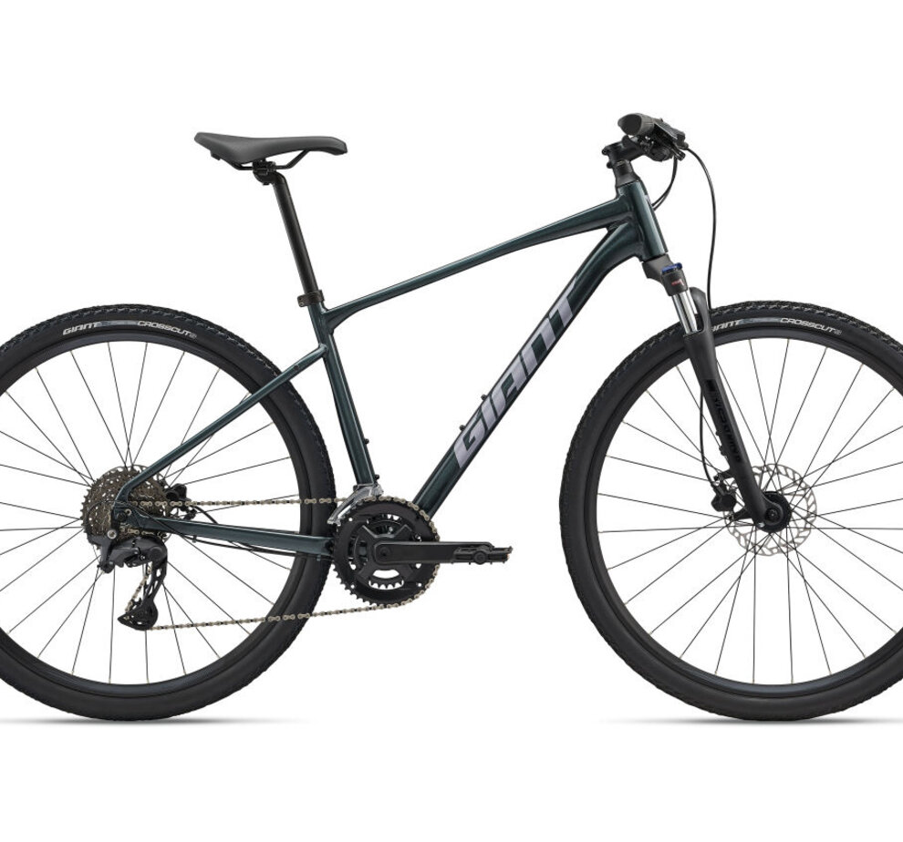Giant Roam 2-GU M Asphalt Green