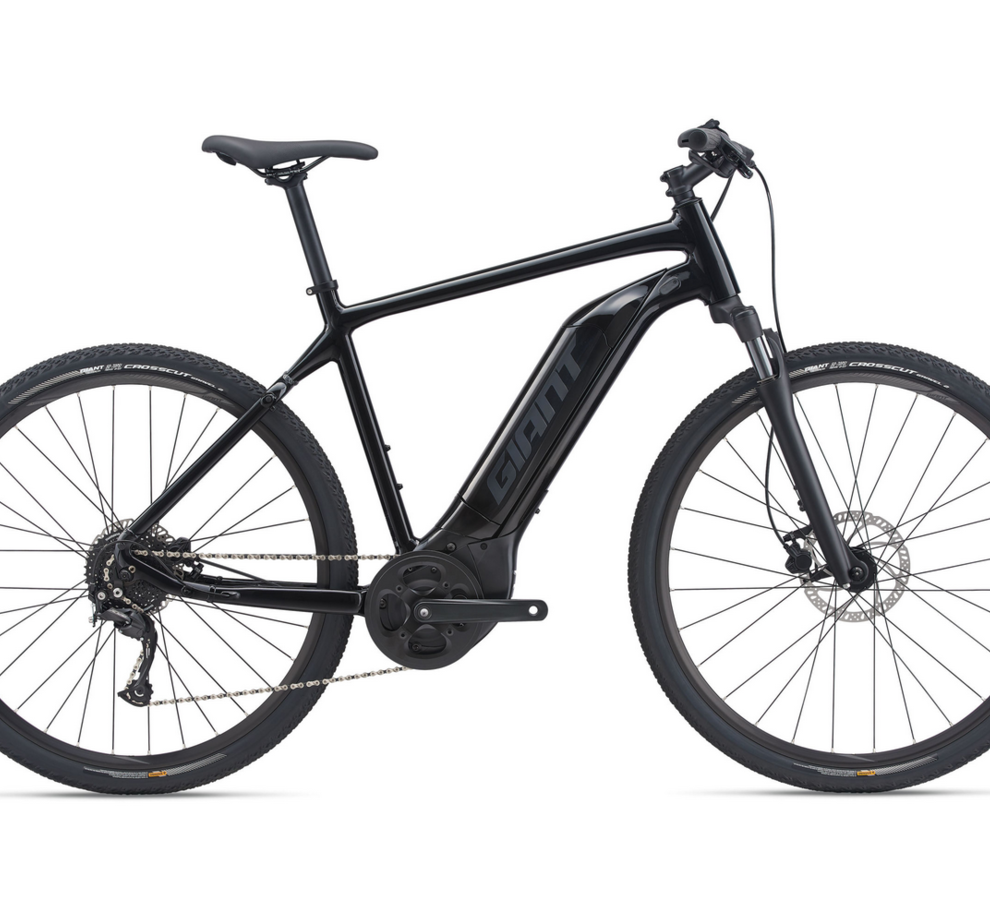 Giant Roam E+ GTS 20MPH L Black