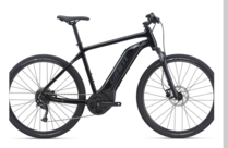 Giant Roam E+ GTS 20MPH M Black