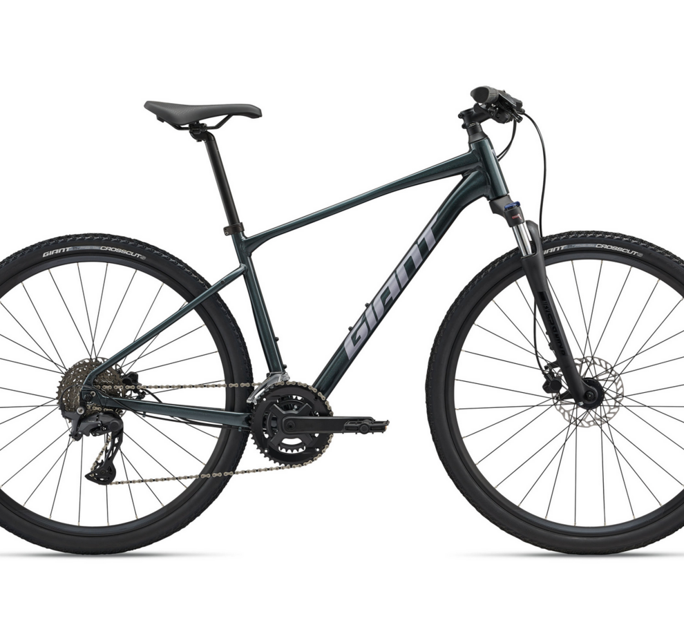 Giant Roam 2-GU L Asphalt Green