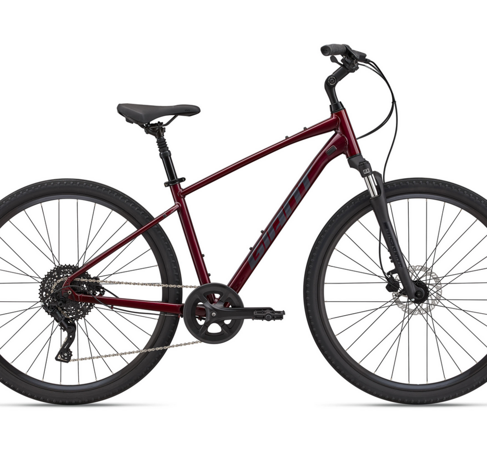 Giant Cypress 2 S Garnet