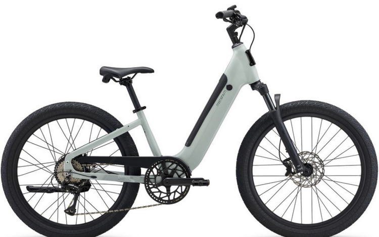 Momentum Vida E+ 28MPH S Mountain Air