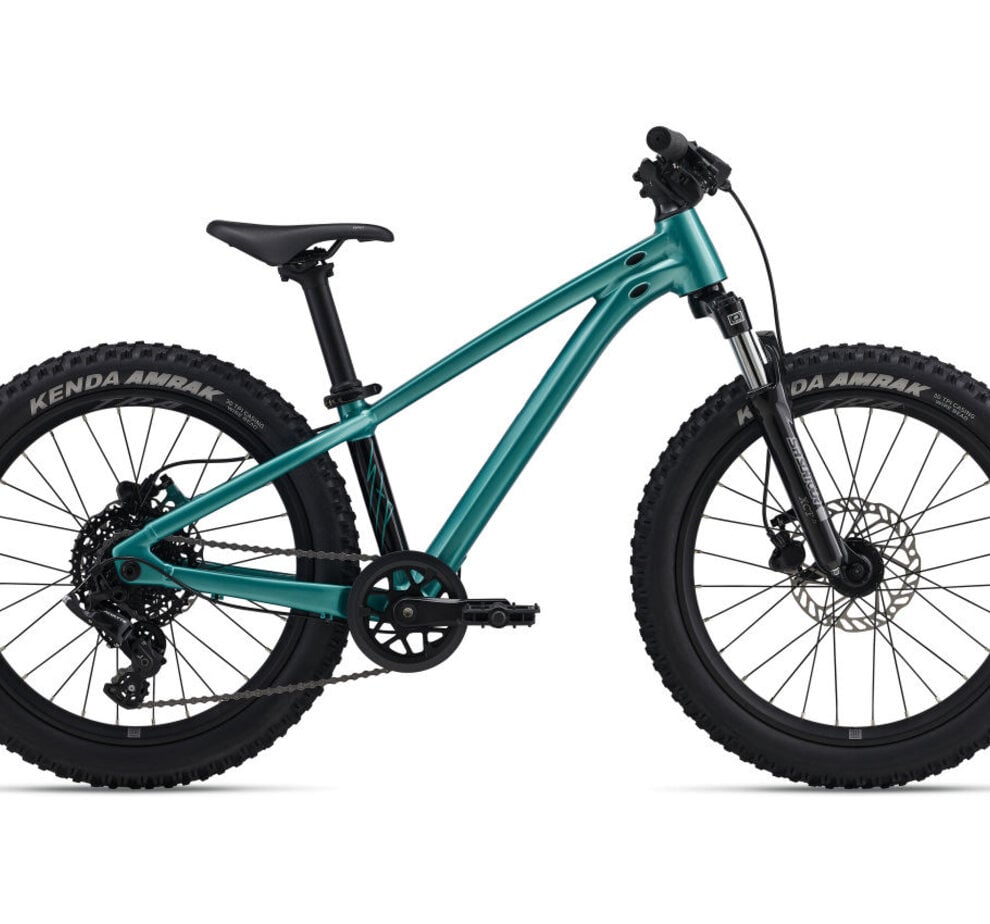 Giant STP 20 FS-Giant One Size Teal