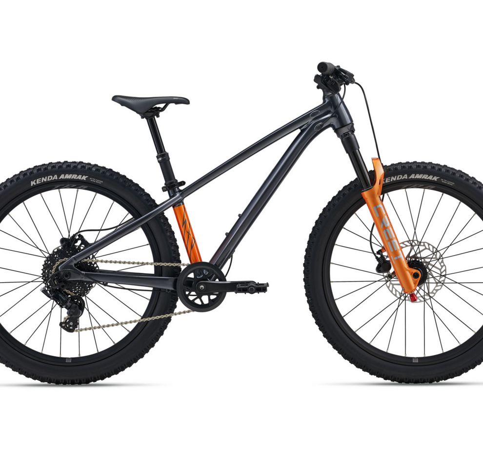 Giant STP 24-Giant One Size Black Chrome