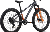 Giant STP 24-Giant One Size Black Chrome