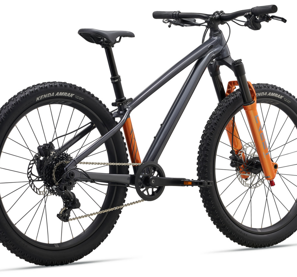 Giant STP 24-Giant One Size Black Chrome