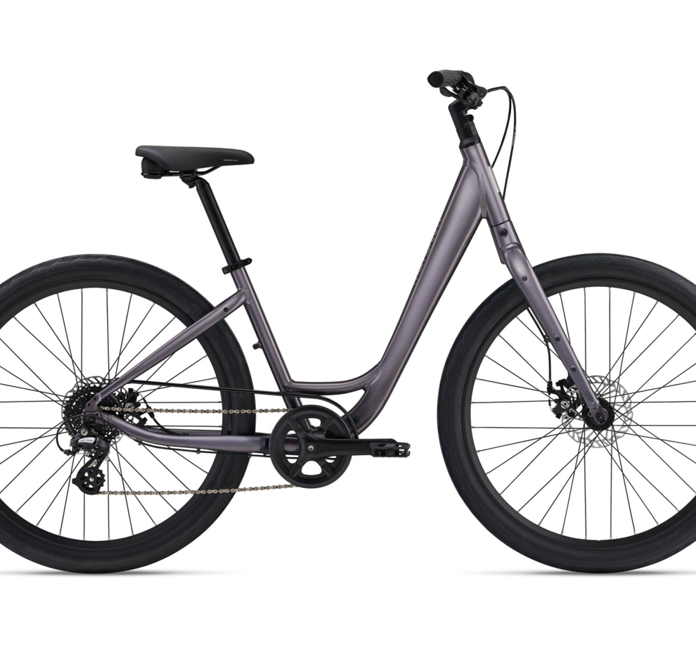 Momentum Vida Low Step Early Espresso- Small