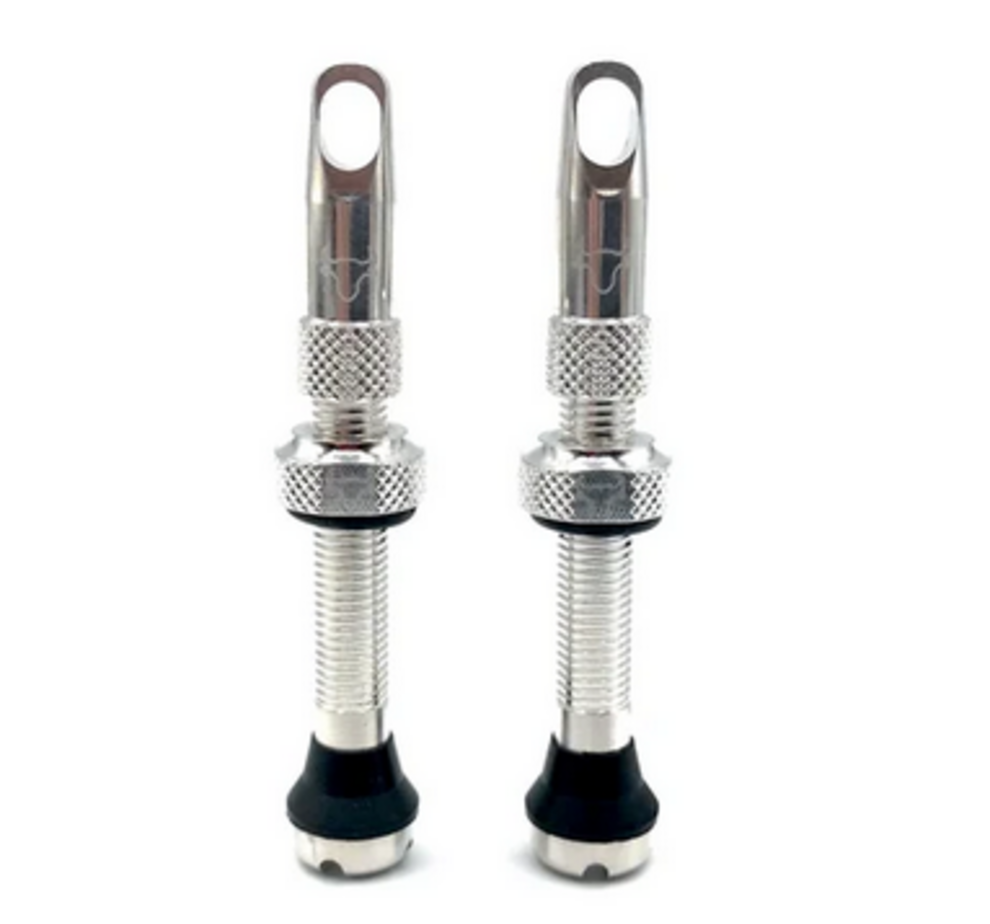 Hold Fast Cycling Tubeless Valve Stem, 42mm (Pair) - Silver
