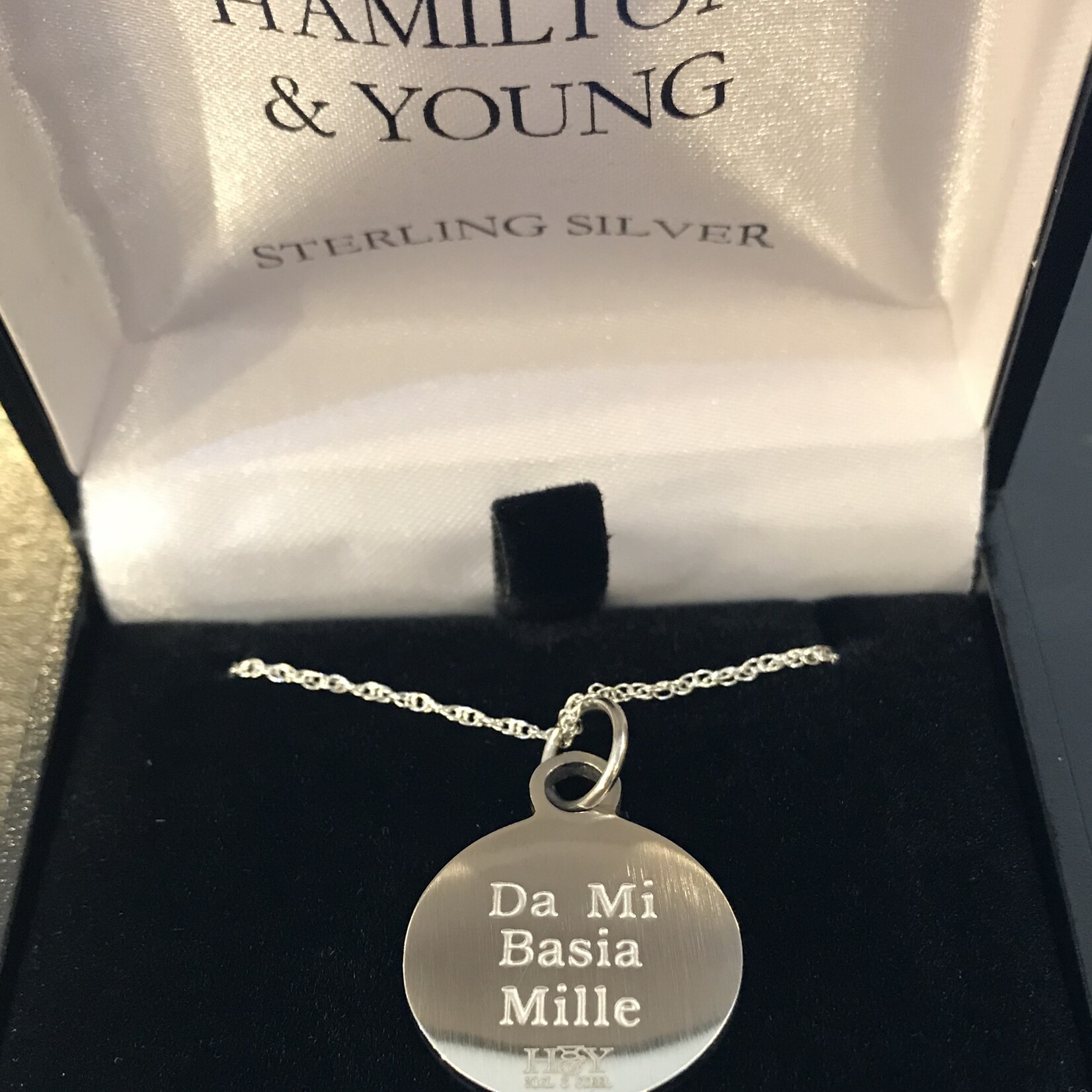 H & Y Necklace: Silver Disc Dragonfly
