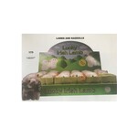 Toy: Lucky Lamb, Irish