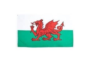 Flag: Wales (UK), Poly 3x5