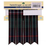 Kilt Flashes: Scottish National