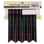 Kilt Flashes: Scottish National