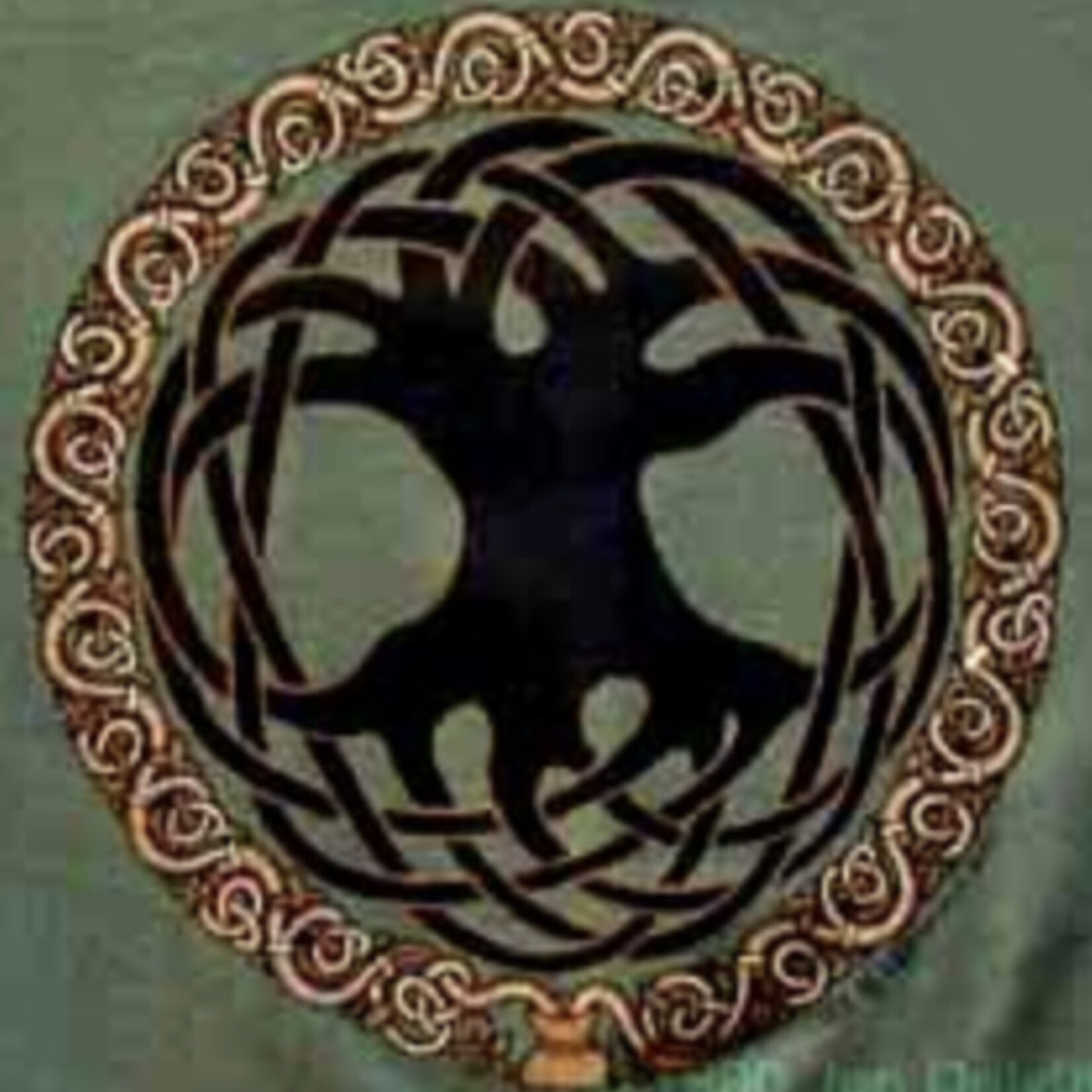 T Shirt: Mens Tree Of Life Pine