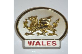 Magnet: Wales Gold Dragon, Pewter