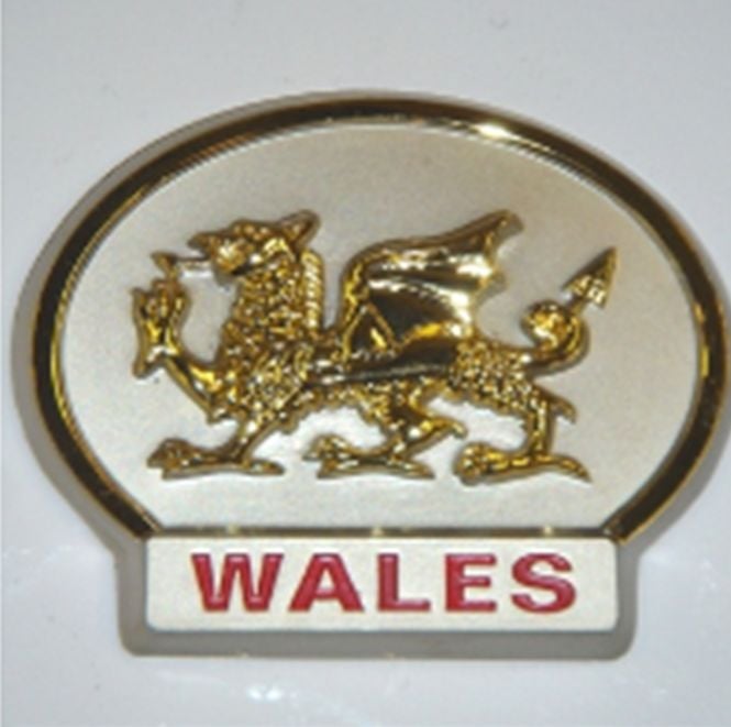 Magnet: Wales Gold Dragon, Pewter
