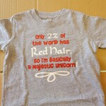T Shirt: Kids 2% Gray Unicorn