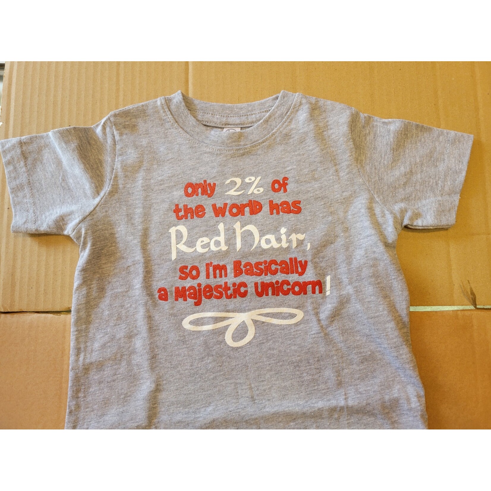 T Shirt: Kids 2% Gray Unicorn