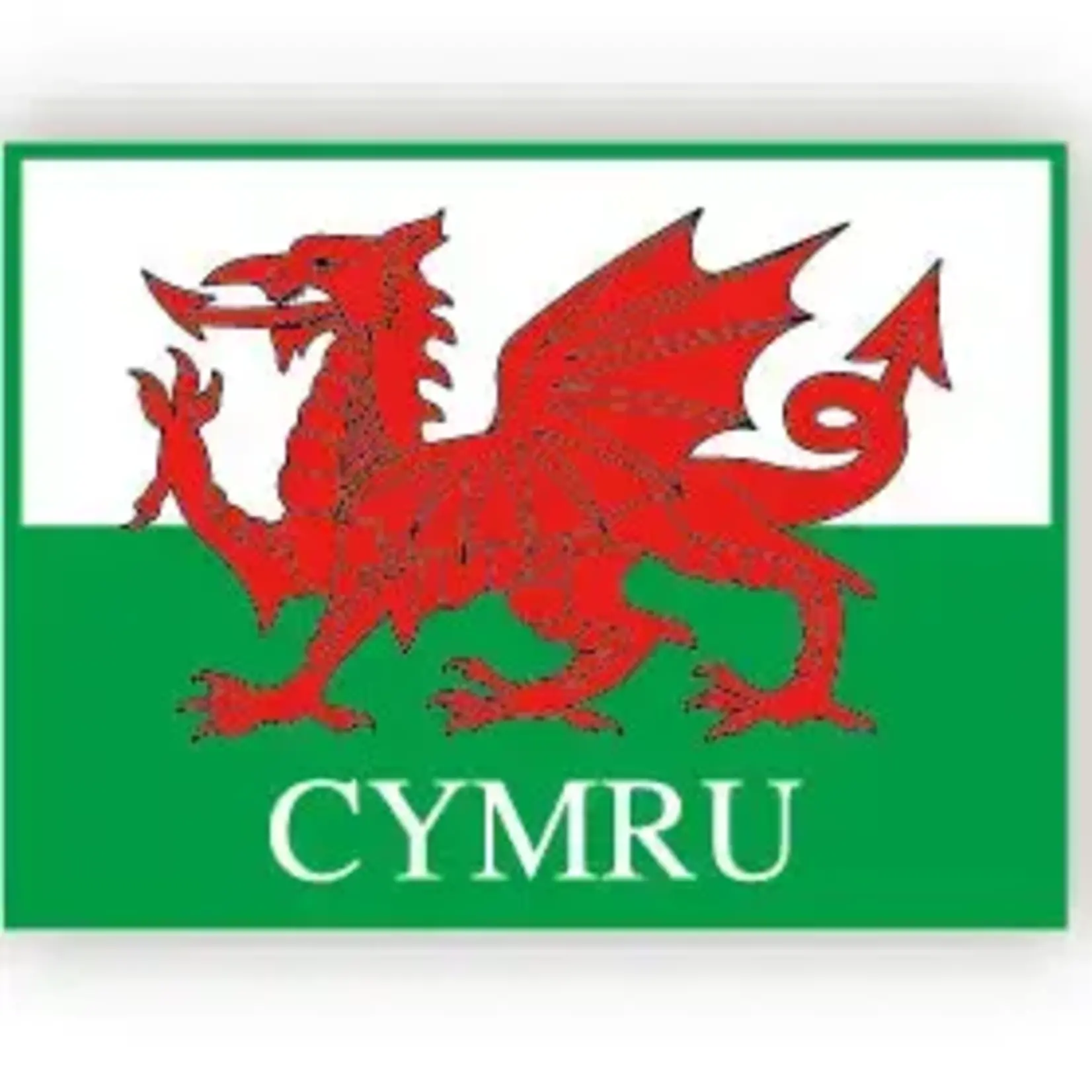 Pin: Welsh Dragon Flag