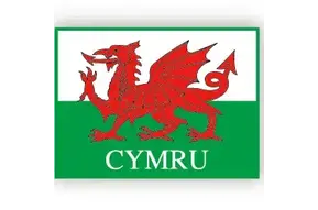 Pin: Welsh Dragon Flag