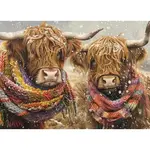 Outset Games and Cobble Hill Puzzles Puzzle: Brrrr! Scottish Cow 500pc