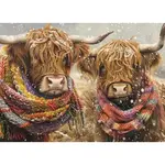Puzzle: Brrrr! Scottish Cow 500pc