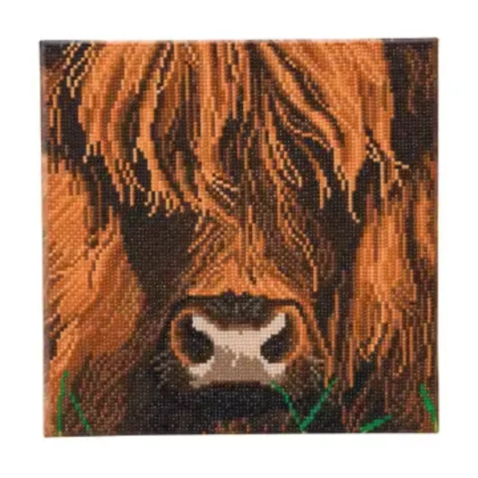 Outset Games and Cobble Hill Puzzles Crystal Art: Highland Cow
