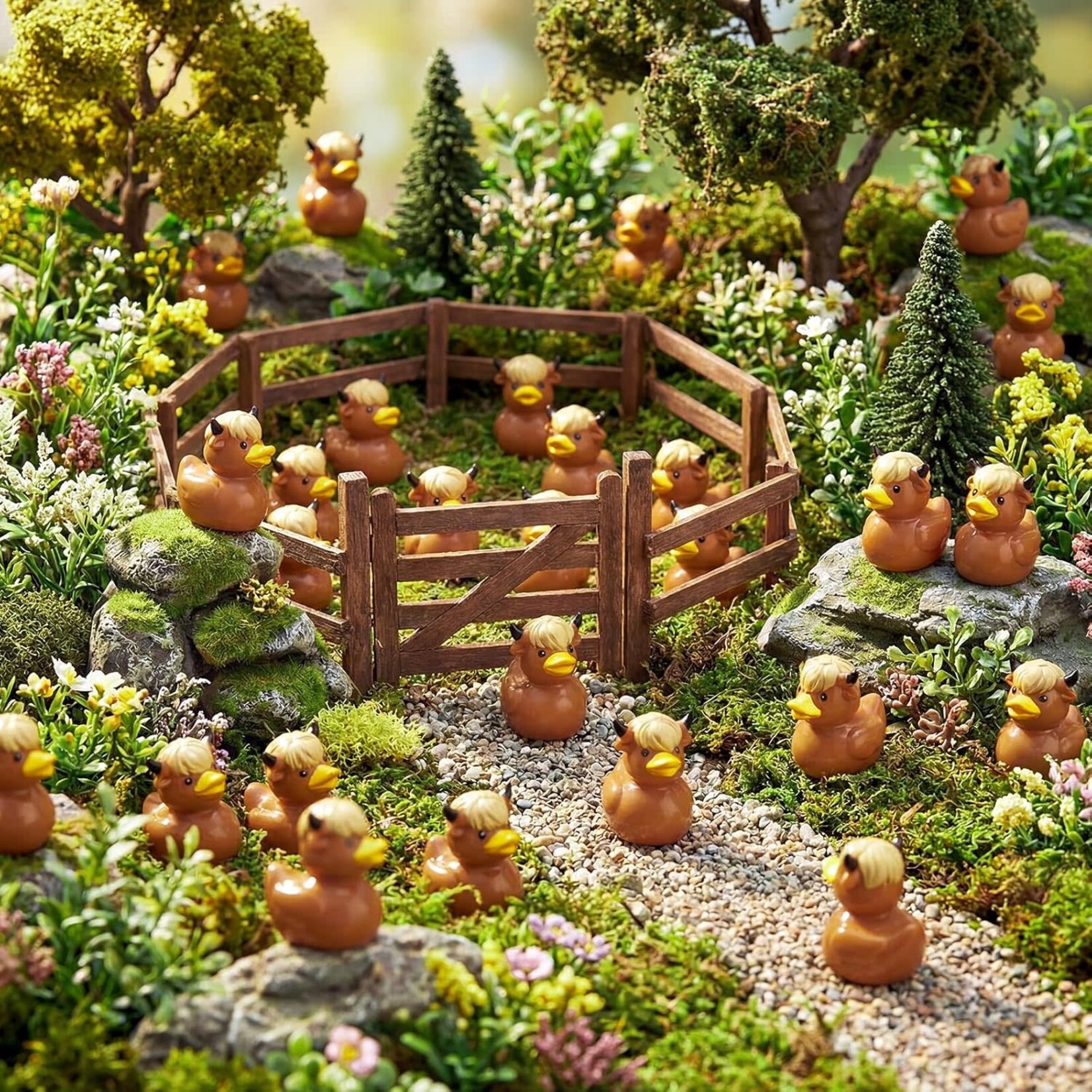 Charm: Highland Cow Ducks
