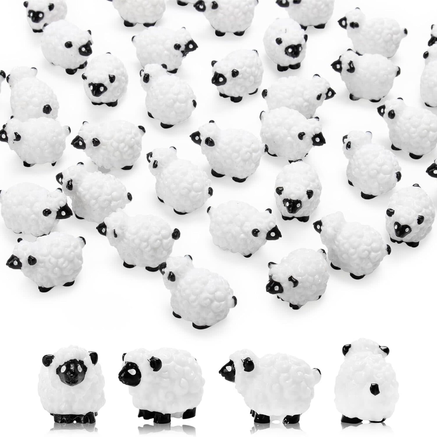 Charm: Sheep