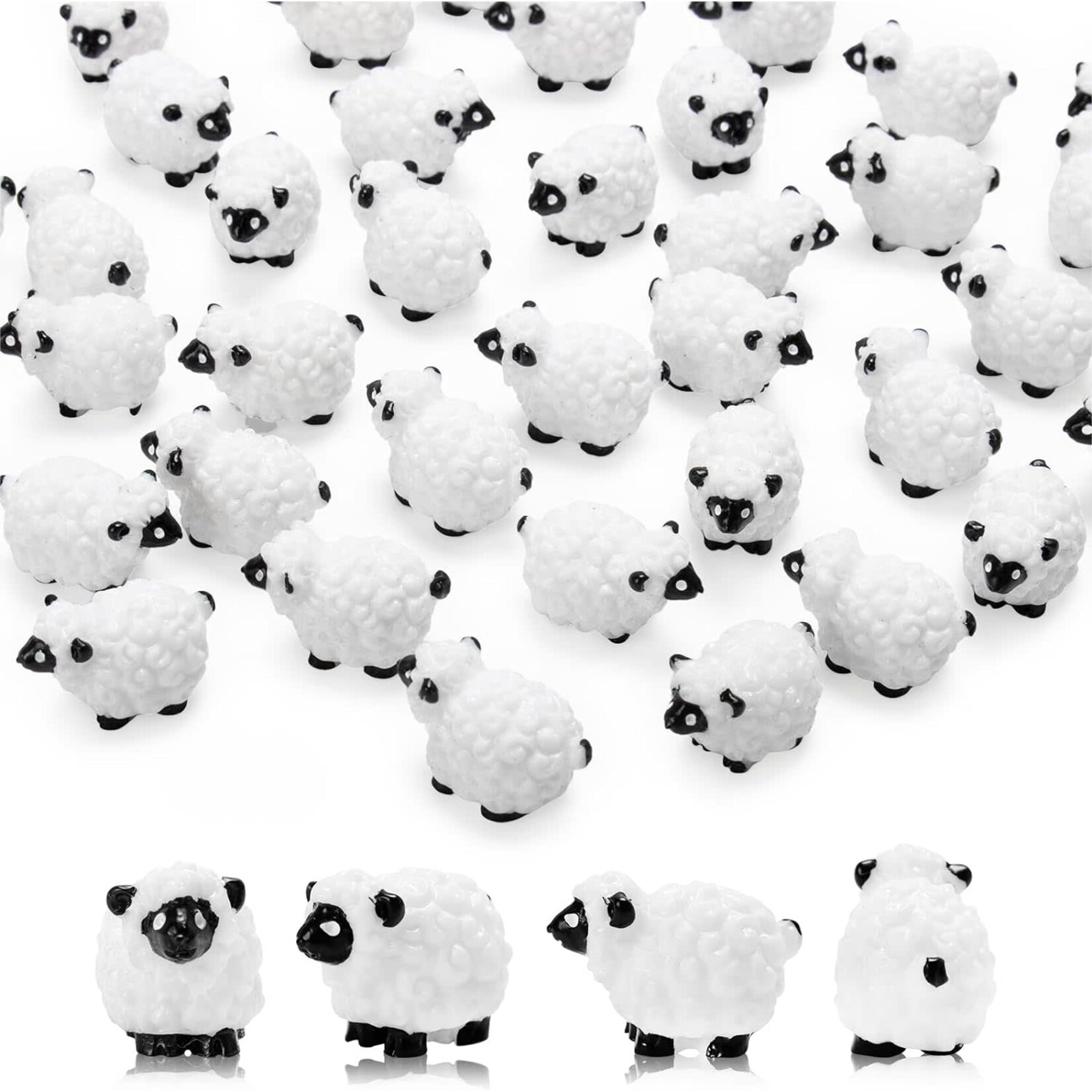 Charm: Sheep