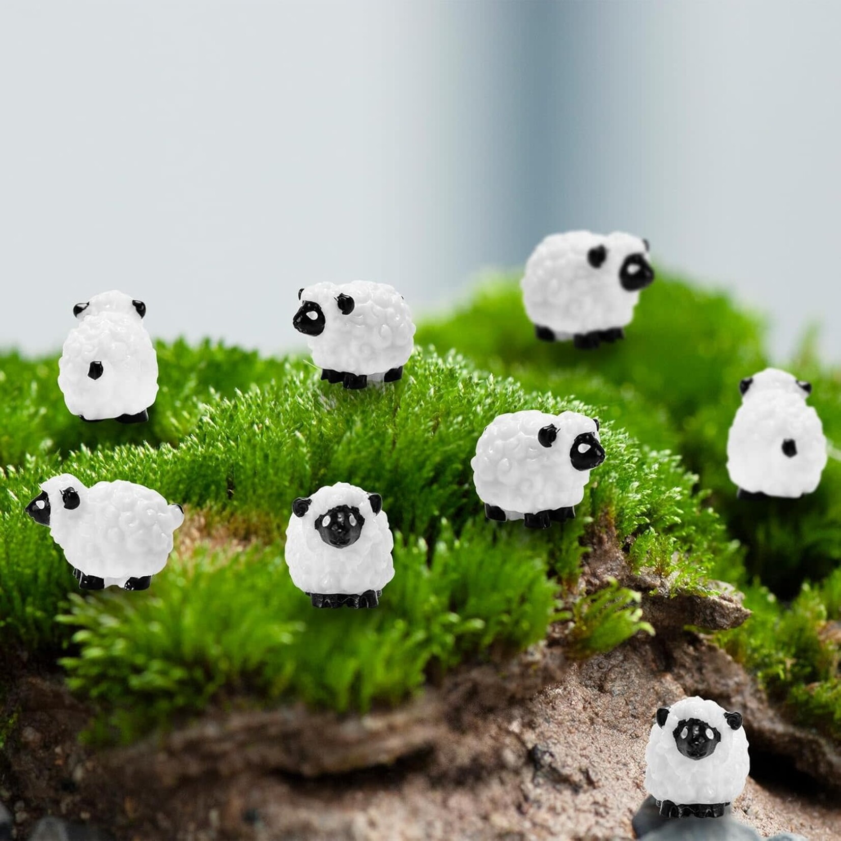Charm: Sheep