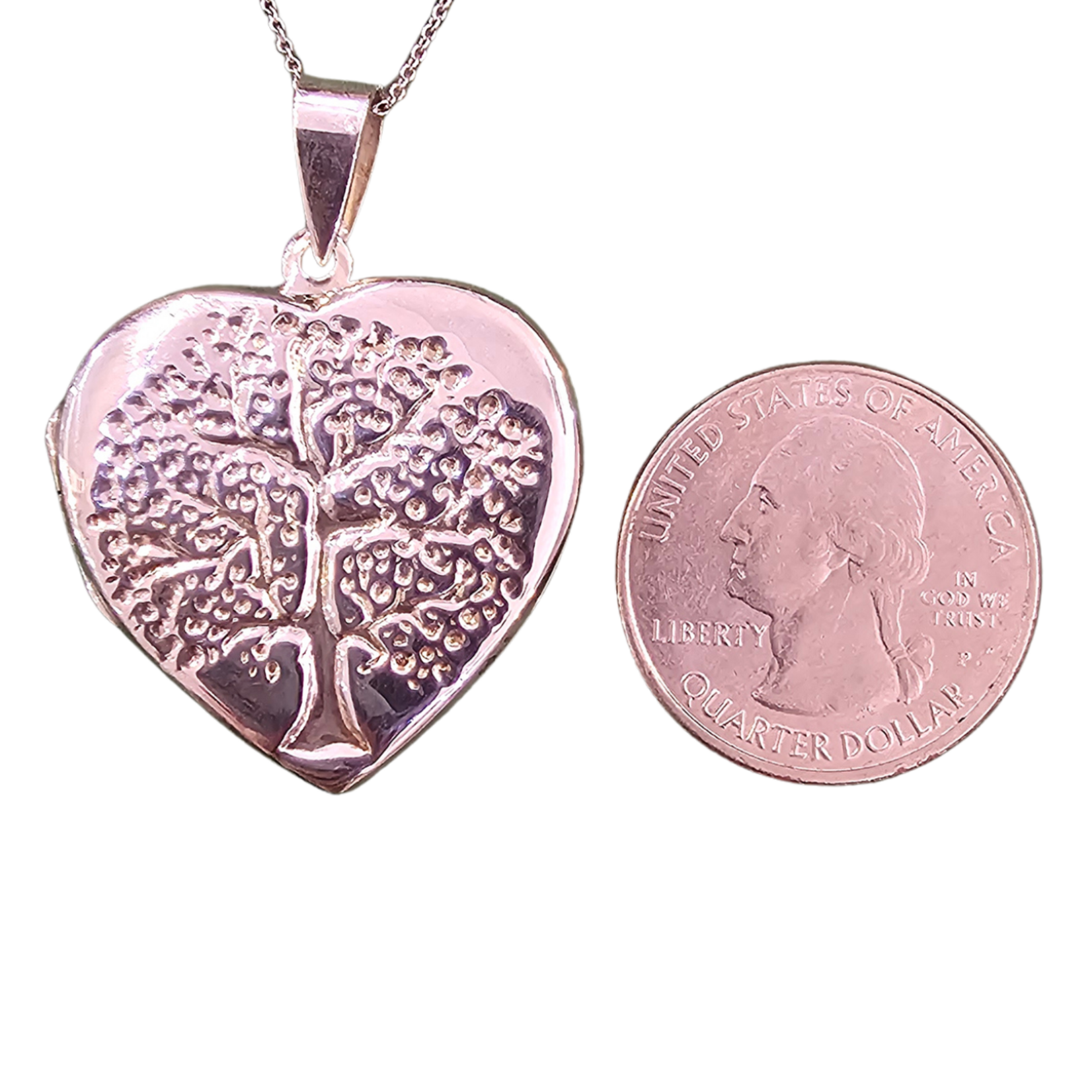 Necklace: SS Locket Tree of Life
