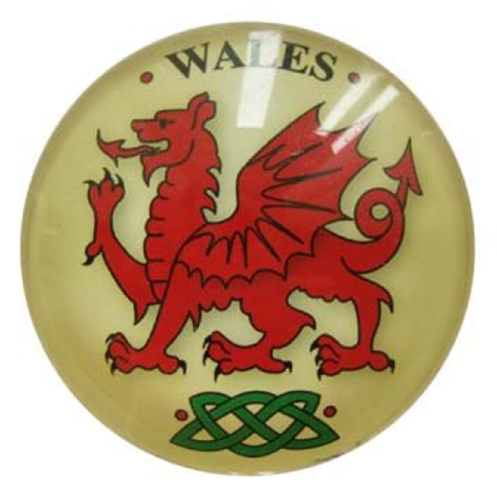 Clara Magnet: Assorted Celtic