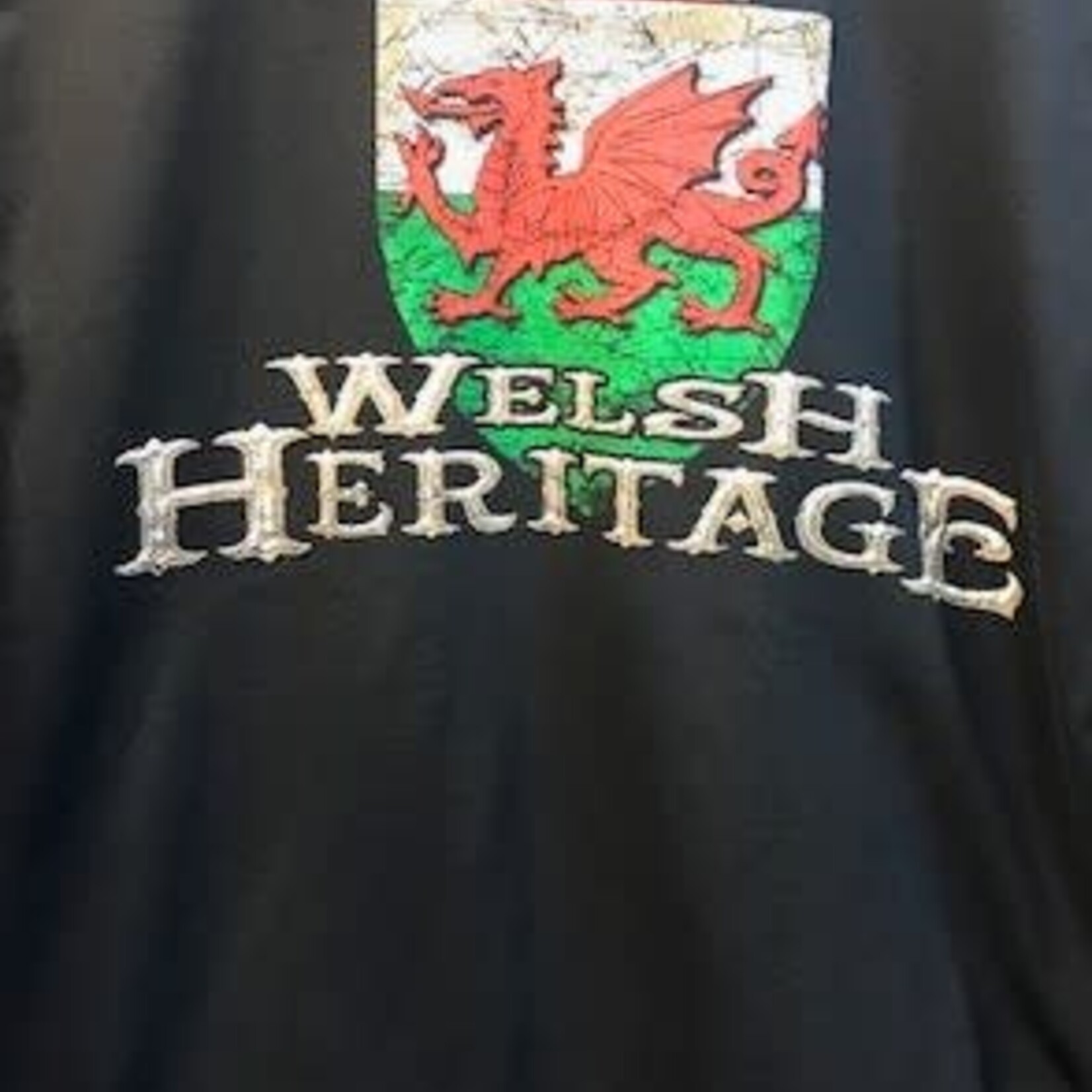 T Shirt: Welsh Heritage