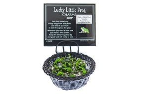 Charm: Lucky Little Frog