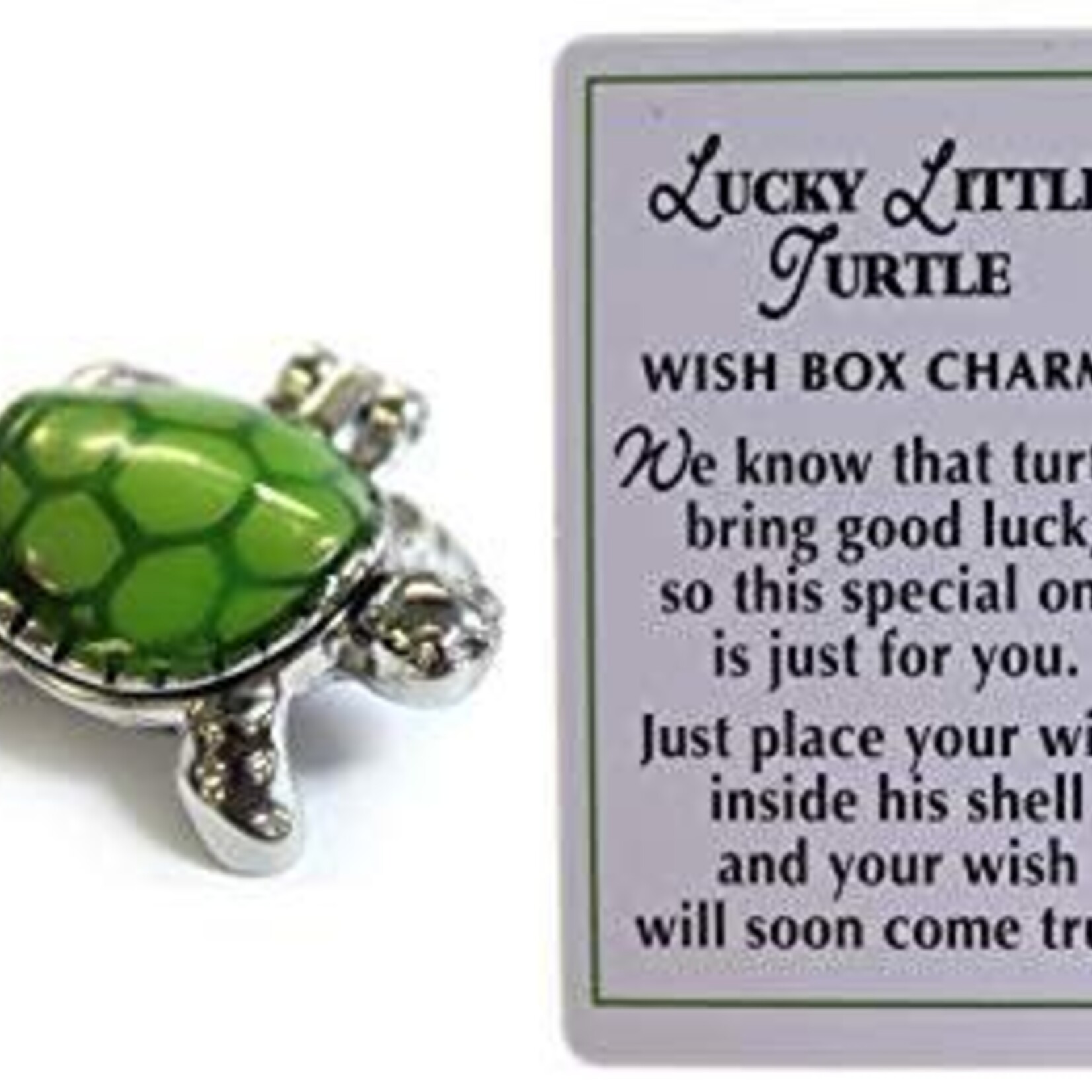 Charm: Lucky Little Turtle Wish Boxes