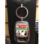 Keychain: Wales Rush Hour Bottle Opener