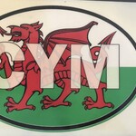 Sticker: Flag Oval, Wales ABV (CYM)