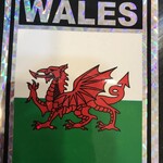 Decal: Vinyl Reflective Wales 3"x4"