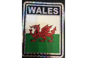 Decal: Vinyl Reflective Wales 3"x4"