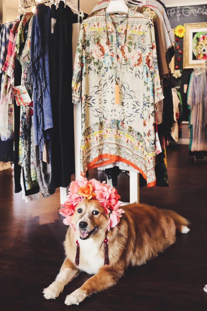 Gracie Says... Flowers For Fall!