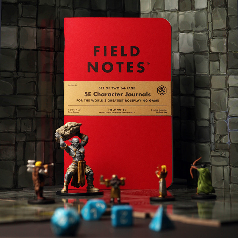 Field Notes Field Notes Notebook - Character Journal Designed Especially for Dungeons and Dragons (2-Pack)