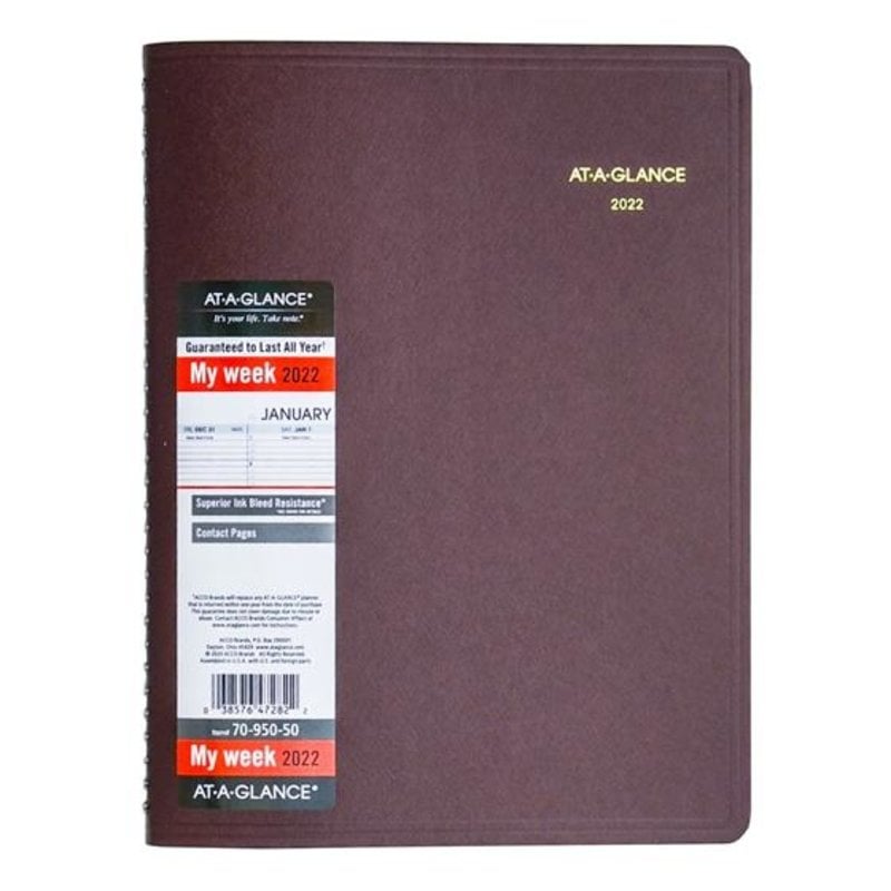 At-A-Glance 2022 70-950 Appointment Book (8.25x11)