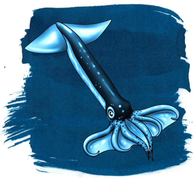 Anderillium Anderillium Bottled Ink -  Flying Squid Blue (1.5 oz)