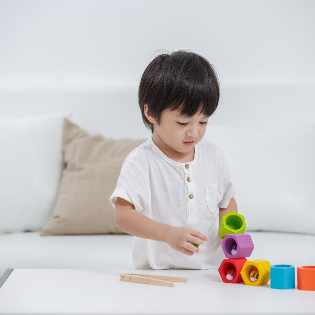 plan toys bee hives
