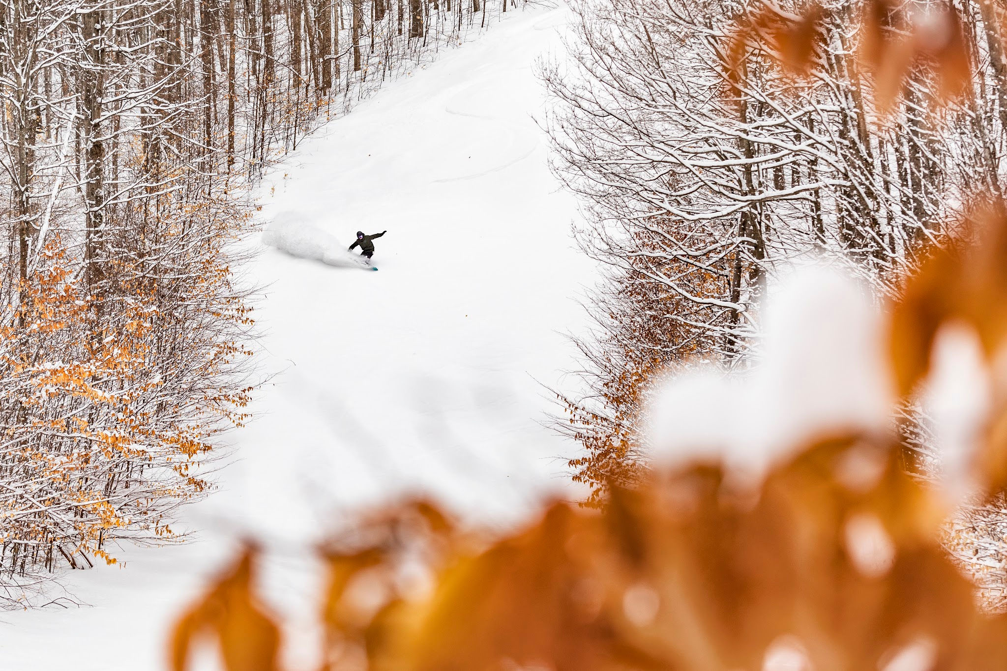 Win a Season Pass!