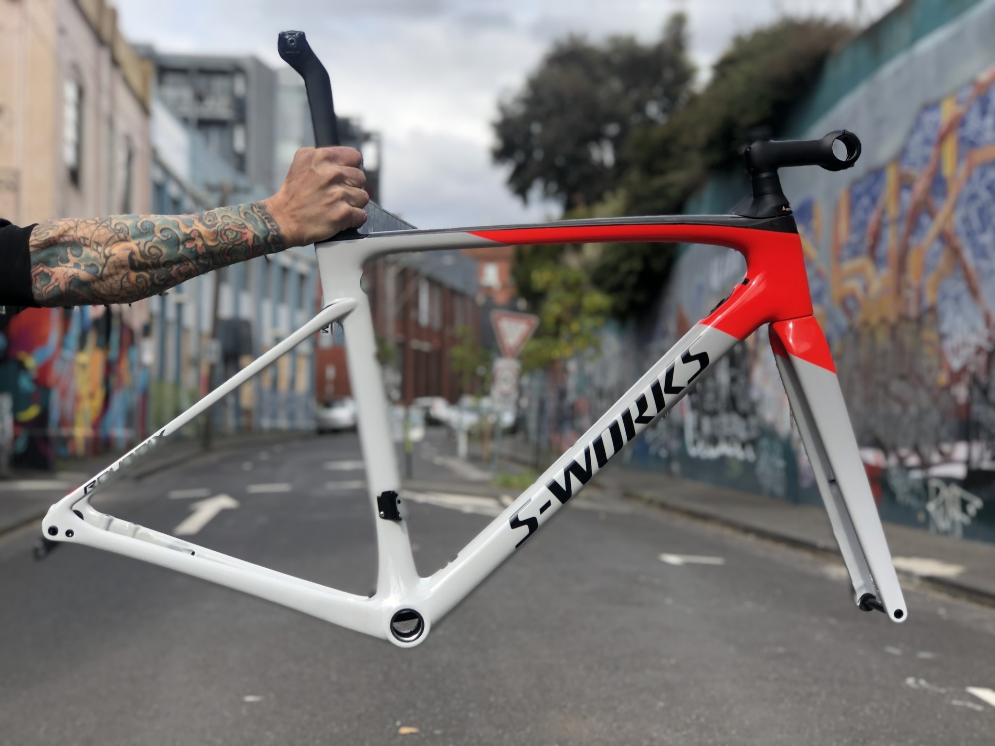 roubaix frameset